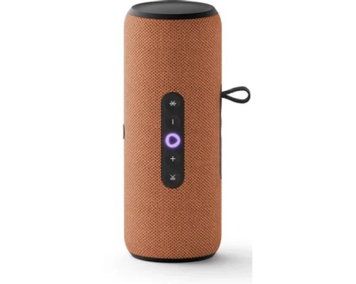 [станция/гаджет] Яндекс Станция Стрит с Алисой, оранжевая, YNDX-00030ORG