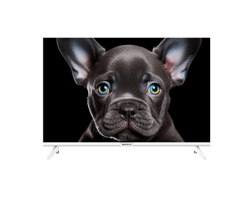 [LCD, LED телевизоры Topdevice] Topdevice 24