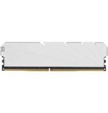 Netac DDR4 DIMM 8GB NTSSD4P32SP-08W PC4-25600, 3200MHz