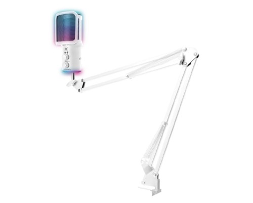 [Наушники, микрофоны RITMIX] RITMIX RDM-278 USB Gaming White {Подключение  Type-C - USB A / Type-C, Jack 3,5 мм на наушники; размеры микрофона: 5 * 15* 5 см}