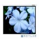 Экран Lumien 153x203см Master Picture LMP-100109 4:3 настенно-потолочный рулонный