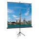 Экран на треноге Lumien 150x150см Eco View LEV-100101 1:1 напольный рулонный