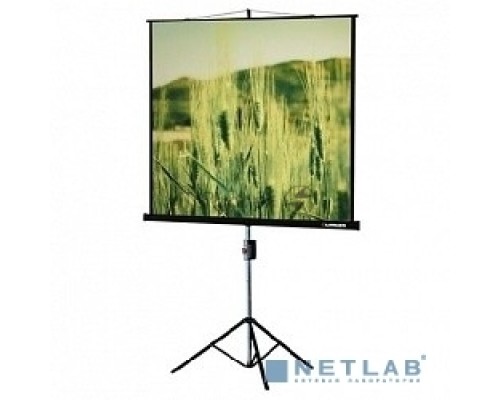 Экран на треноге Lumien 150x150см Eco View LEV-100101 1:1 напольный рулонный