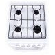 Плита Газовая Flama RG 24019 W белый