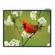Экран Lumien 171x128см Master Picture LMP-100108 4:3 настенно-потолочный рулонный белый