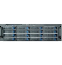 Procase ES316-SATA3-B-0 {3U 16 SATAIII/SAS hotswap HDD, глубина 650мм, MB 12