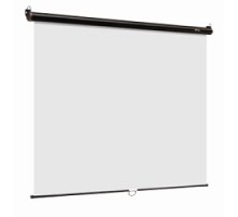 Digis Optimal-C [DSOC-1102] Экран настенный (Optimal-C, формат 1:1, 100