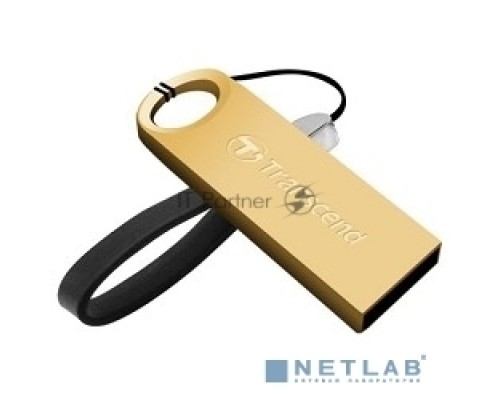 Флеш диск Transcend 16Gb TS16GJF520G золотистый
