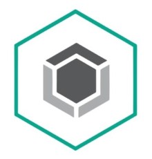 KL4863RANFR Kaspersky Endpoint Security для бизнеса – Стандартный 20-24 users Renewal License