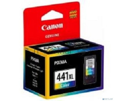 Картридж струйный Canon CL-441XL (5220B001) многоцветный для Canon MG2140/3140