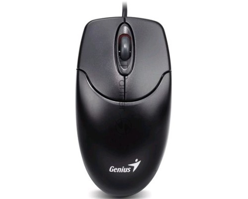 Мышь Genius NetScroll 120 V2 black USB, G5 (optical 1000dpi, подходит под обе руки)