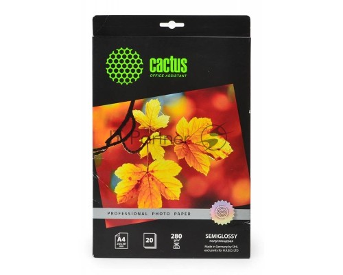 Фотобумага Cactus CS-SGA428020 Professional полуглянцевая А4 280 г/м2 20 листов