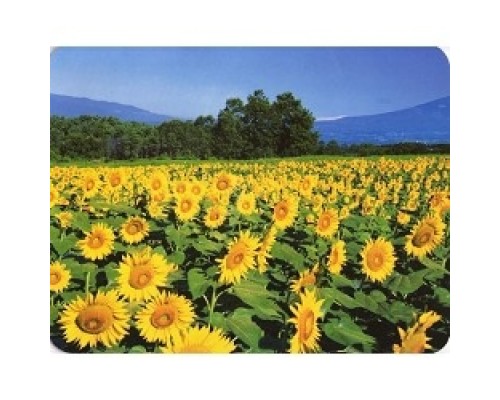 [Коврики] Коврик для мыши Buro BU-M20036 рисунок/подсолнухи [817310]