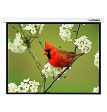 LUMIEN Master Picture LMP-100133,  220х141 см, 16:10 рабочая область (131x210)