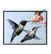 LUMIEN Master Picture LMP-100115 220x184 см 16:9 настенно-потолочный рулонный белый 