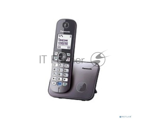Телефон Panasonic KX-TG6811RUM (серебристый) {Беспроводной DECT,40 мелодий,телефонный справочник 120 зап.}