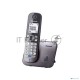 Телефон Panasonic KX-TG6811RUM (серебристый) {Беспроводной DECT,40 мелодий,телефонный справочник 120 зап.}