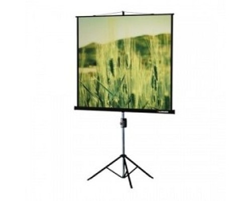 [Экраны LUMIEN] Lumien Master View LMV-100108 Экран на треноге (183х244), рабочая область (175х236) 4:3 напольный рулонный