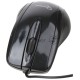 Мышь Gembird MUSOPTI8-801U Black, USB, 800DPI 