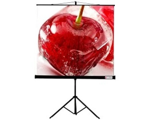 [Экраны ViewScreen] Viewscreen Clamp TCL-1102 Экран мобильный (1:1) 180*180 MW