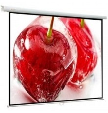 Viewscreen Lotus WLO-1102 Экран ручной (1:1) 153*153 (147*147) MW