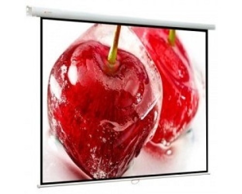 [Экраны ViewScreen] Viewscreen Lotus WLO-1102 Экран ручной (1:1) 153*153 (147*147) MW