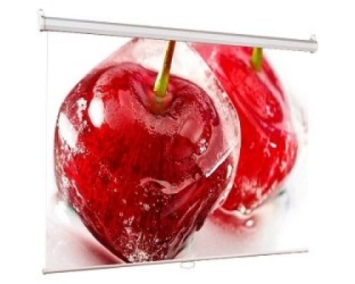 [Экраны ViewScreen] Viewscreen Scroll WSC-1101 Экран ручной (1:1) 150*150 (150*150) MW