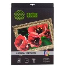 CACTUS CS-CA426010 Холст для струйной печати, A4, 300г/м2, 10 листов