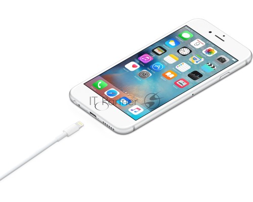 Кабель Apple для iPhone 5/5S MD819ZM/A (MD819ZM/A)