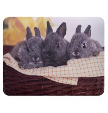 Коврик для мыши Buro BU-M40092 рисунок/кролики [291852]