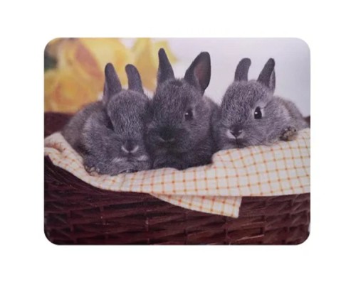 [Коврики] Коврик для мыши Buro BU-M40092 рисунок/кролики [291852]