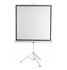 Digis Kontur-D [DSKD-1106] Экран на штативе, формат 1:1, 112