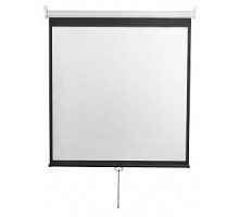 Digis Optimal-D [DSOD-1105] Экран настенный (Optimal-D, формат 1:1, 112