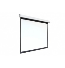 Digis Electra-F [DSEF-4305] Экран настенный с электроприводом  формат 4:3, 220x300 см