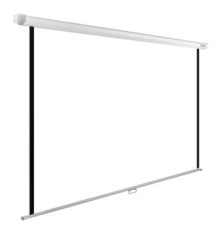 Экран Cactus WallExpert CS-PSWE-220x138-WT 138x220 см 16:10 настенно-потолочный рулонный белый