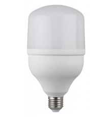 ЭРА Б0027006 Лампа светодиодная STD LED POWER T120-40W-6500-E27 E27 / Е27 40Вт колокол холодный дневной свет