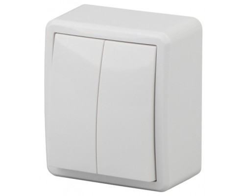 [ЭРА Розетки, выключатели] Эра Б0020663 11-1204-01 Выключатель двойной, 10АХ-250В, ОУ, Эра Эксперт, белый