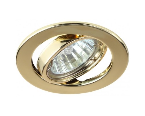 [точечные светильники] Эра C0043806 ST2A GD Светильник штампованный поворотный MR16,12V/220V, 50W золото