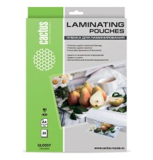 Cactus Пленка для ламинирования 80мкм A4 (25шт) глянцевая 216 x 303мм [CS-LPGA48025]