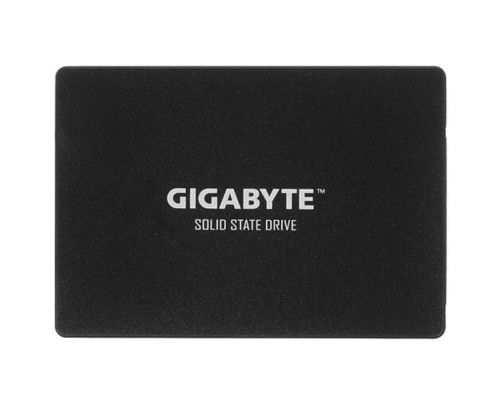 [носитель информации ] Gigabyte SSD 256GB GP-GSTFS31256GTND {SATA3.0}