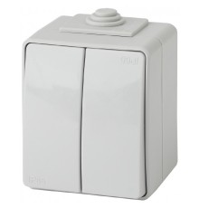 Эра Б0035976 11-1604-03 Выключатель двойной IP65, 10АХ-250В, ОУ, Эксперт, серый