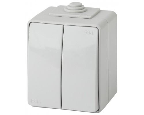 [ЭРА Розетки, выключатели] Эра Б0035976 11-1604-03 Выключатель двойной IP65, 10АХ-250В, ОУ, Эксперт, серый