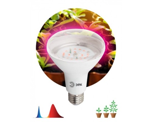 [ЭРА Светодиодные лампы] Эра Б0039072 Фитолампа для растений светодиодная FITO-16W-RB-E27-K красно-синего спектра 16 Вт Е27