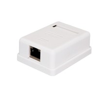 Bion Внешняя сетевая розетка BXP-ENS-C5E-1P-1 RJ-45 cat. 5e, 1 порт, 110&Krone