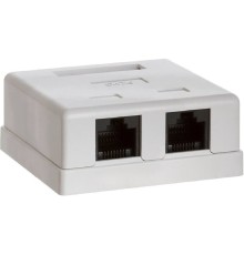 Bion Внешняя сетевая розетка BXP-ENS-C5E-2P-1 RJ-45 cat. 5e, 2 порта, 110&Krone