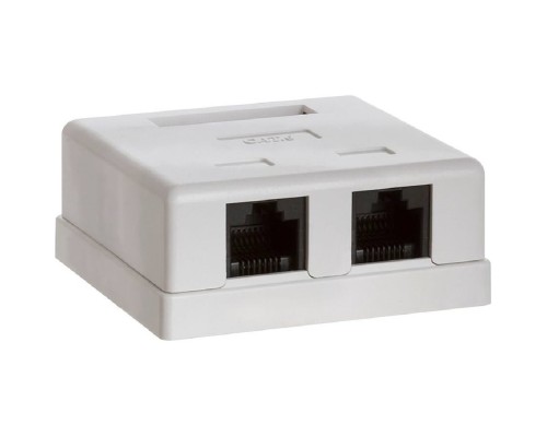 [Монтажное оборудование] Bion Внешняя сетевая розетка BXP-ENS-C5E-2P-1 RJ-45 cat. 5e, 2 порта, 110&Krone