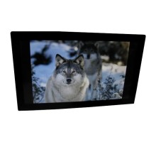 Фоторамка Espada E-21A, цвет черный 16Gb (45069)