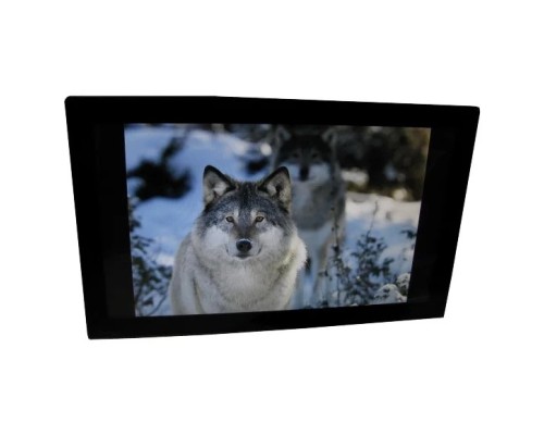 [Фоторамка] Фоторамка Espada E-21A, цвет черный 16Gb (45069)