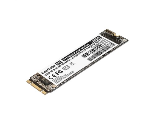 [носитель информации] ExeGate SSD M.2 120GB Next Pro Series EX280464RUS