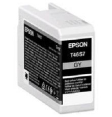EPSON C13T46S700  картридж для SC-P700 серый 25 мл. (LFP)